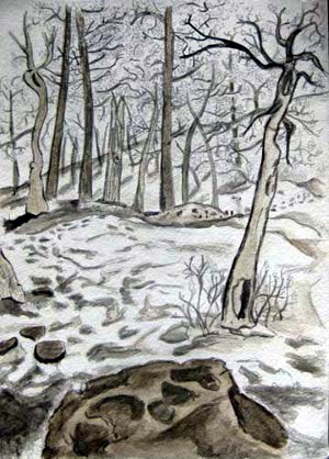 A winter landscape by Andrew using acorn and walnut ink