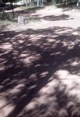 Elliptical shadows during 2017 Eclipse: Nature still defines the nature of our reality